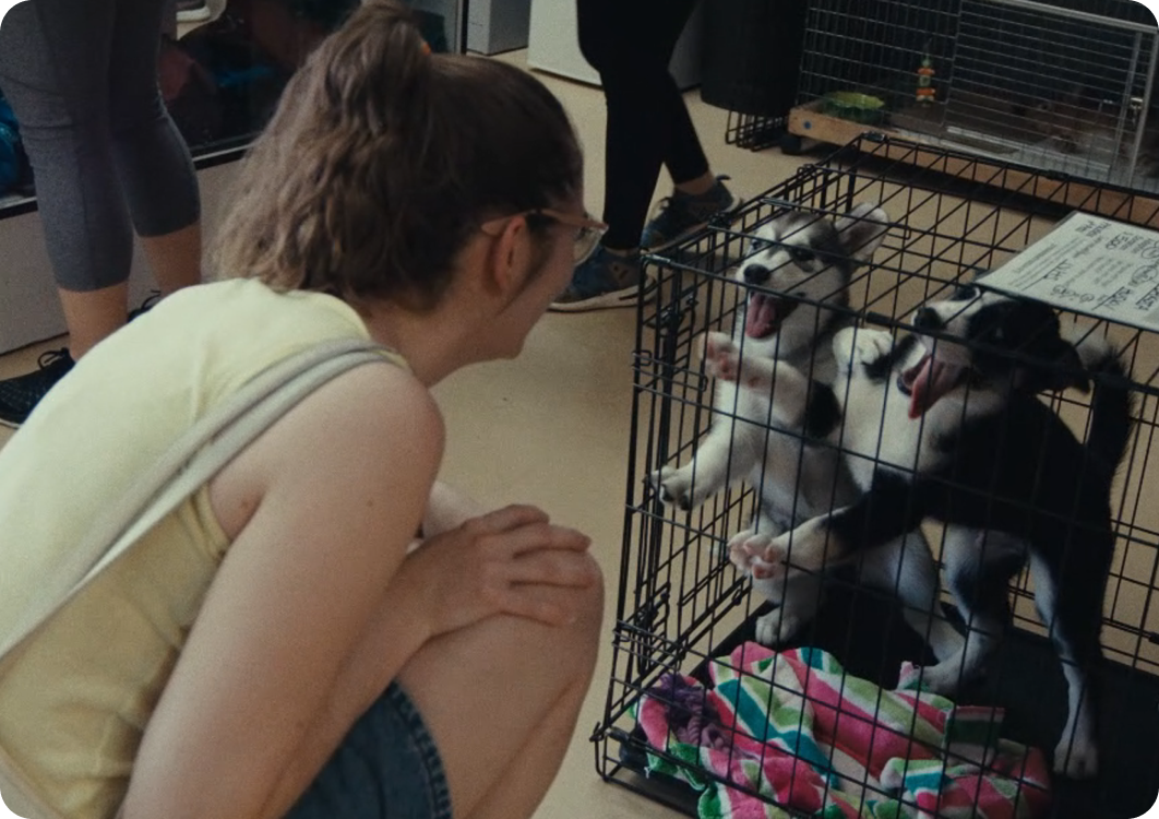 ��8ͷ�����(�й���½)-�ٷ���վ