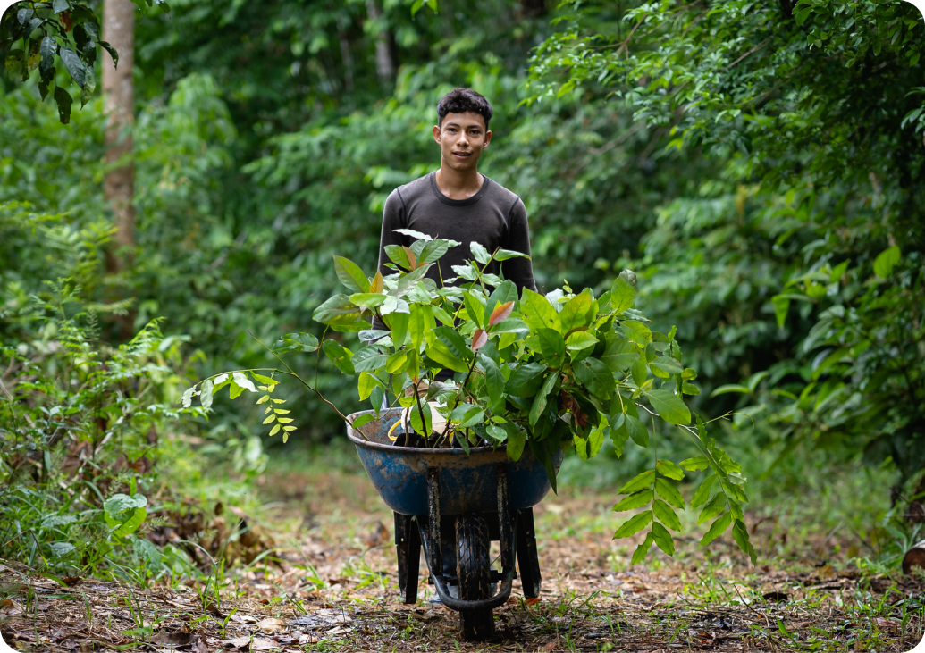 ��8ͷ�����(�й���½)-�ٷ���վ