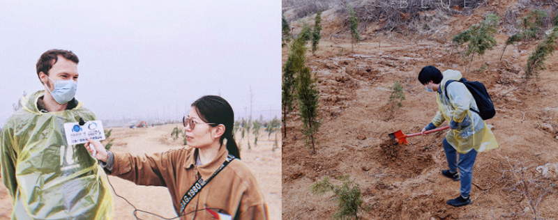 ��8ͷ�����(�й���½)-�ٷ���վ