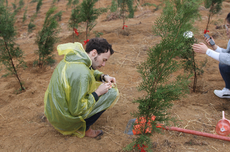 ��8ͷ�����(�й���½)-�ٷ���վ