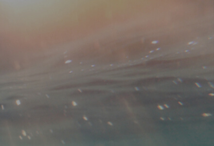 ��8ͷ�����(�й���½)-�ٷ���վ