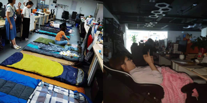 ��8ͷ�����(�й���½)-�ٷ���վ