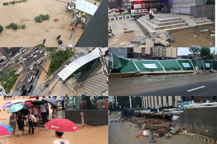 ��8ͷ�����(�й���½)-�ٷ���վ