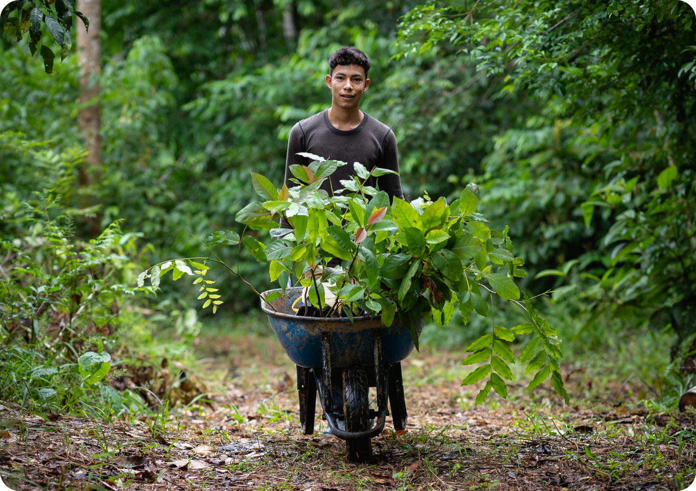 ��8ͷ�����(�й���½)-�ٷ���վ